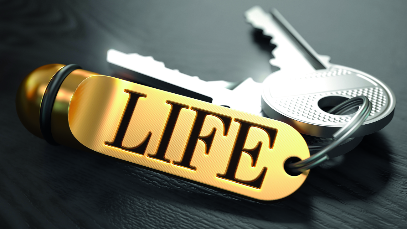 Keys and Golden Keyring with the Word Life over Black Wooden Table with Blur Effect.; Shutterstock ID 278953856; PO Number - Raise a BBC PO Using Vendor No. 1150465: -; Employee Email: -